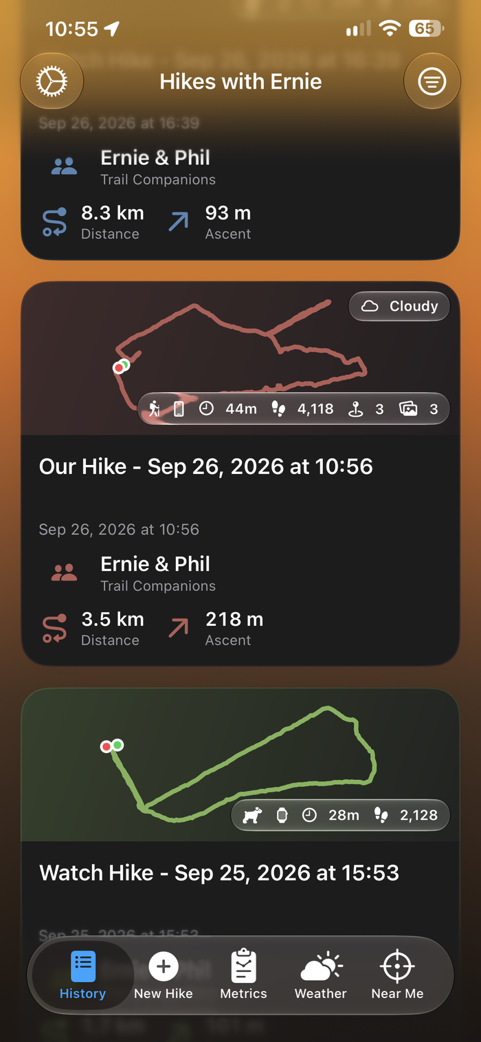 A closer look at hike tiles, showing their route drawing, info chips, companions, distance and ascent