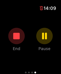 Watch controls