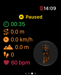 Watch metrics paused