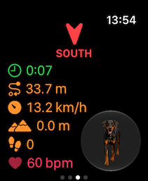 Watch metrics